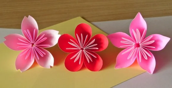 Beyond sakura: How to tell a cherry blossom from a plum or peach flower