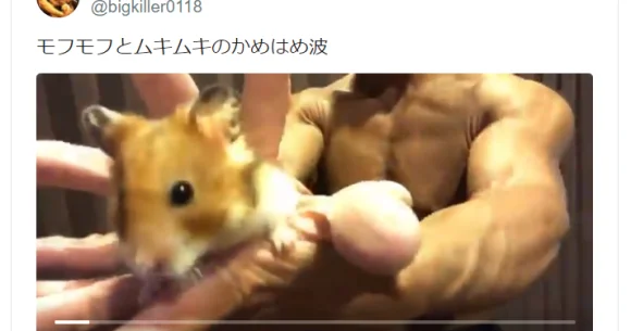 Hamster hadouken! Super-buff Japanese bodybuilder adds adorable animals to his flex videos【Vids】