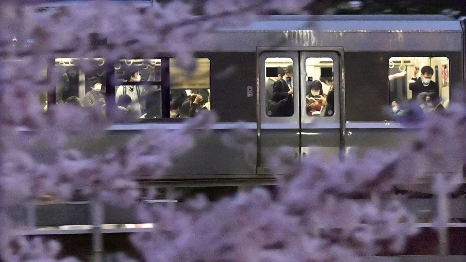 Hotline service to begin for foreigners in Japan for coronavirus inquiries