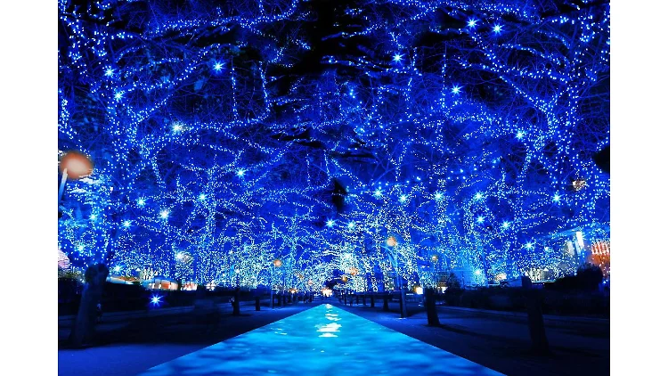 Be dazzled by Tokyo's illumination displays