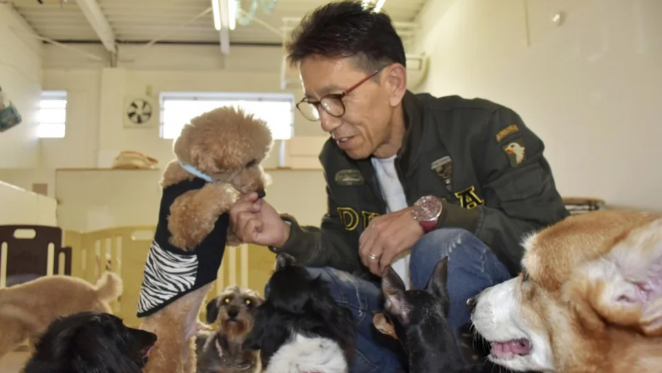 Japan NGO matches senior shelter dogs with senior citizens
