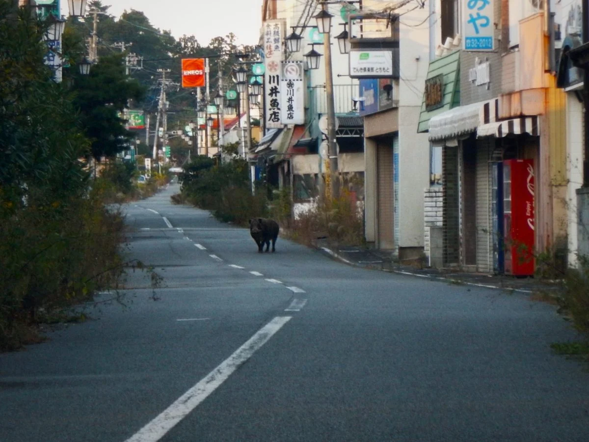 This Is What It’s Like to Tour Inside the Fukushima Exclusion Zone