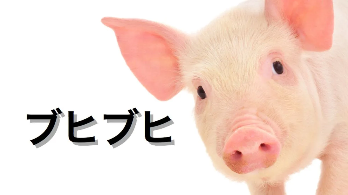Why Nintendo Fans Are Called “Pigs” (and Other Things) in Japan