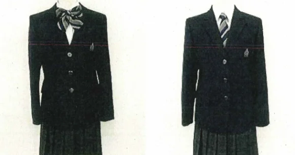 Japanese public school to allow male students to wear skirts, chest ribbons as part of uniform