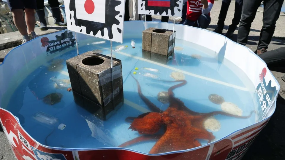 Rugby: Octopuses predict Japan will not get out of World Cup pool