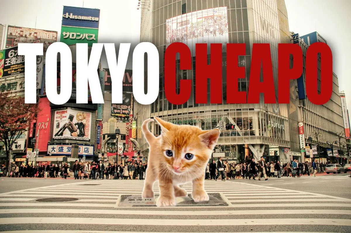 Tokyo Sea Life Park – Free Admission Day, 4th May, 2020