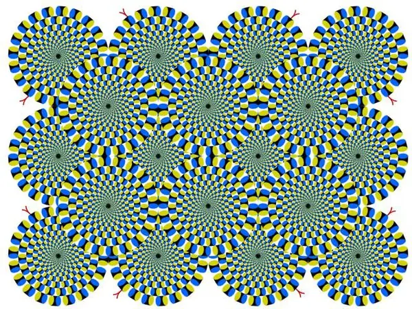Akiyoshi's illusion pages