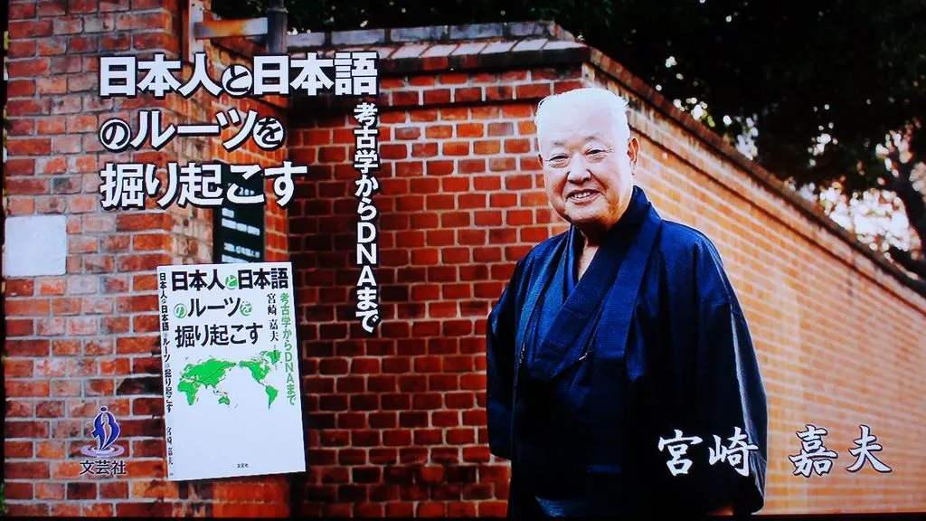 Why Japanese TV Shows Are So Weird?