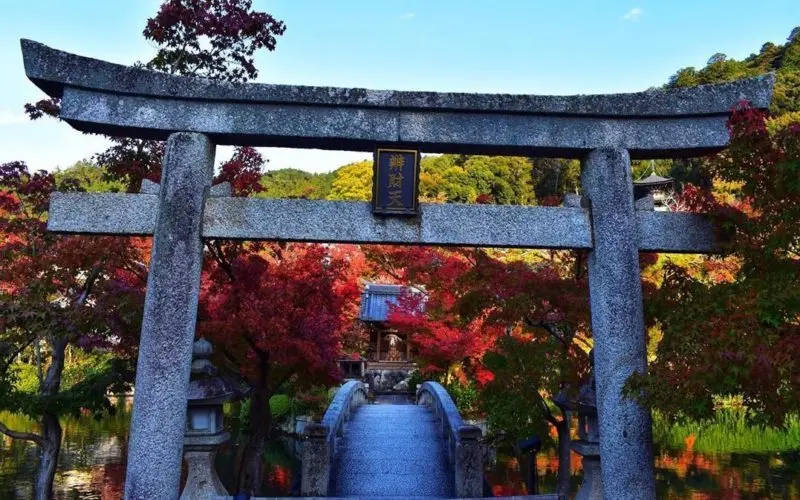 Top 10 Readers’ Photos In Japan: November 2019