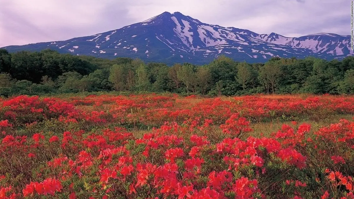 Tohoku: A Japan destination for all seasons