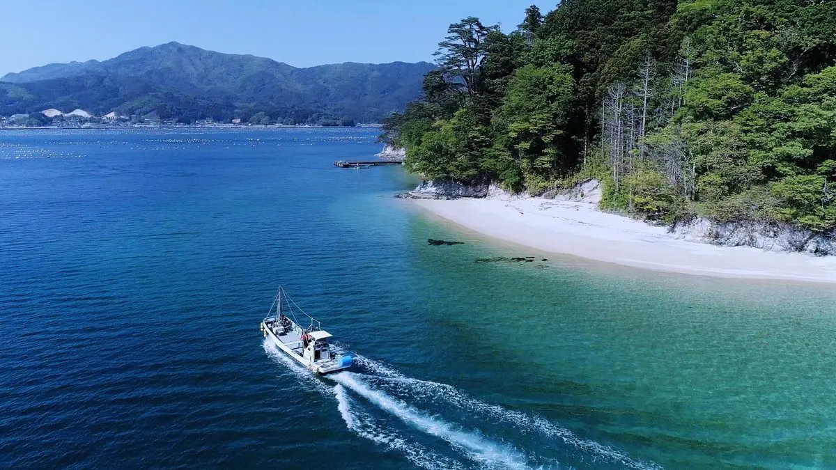 How rugby is re-energising Japan’s Iwate prefecture, eight years after the tsunami