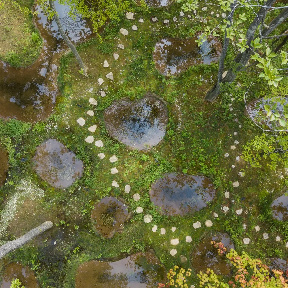 Art Biotop Water Garden by Junya Ishigami wins €100,000 Obel Award