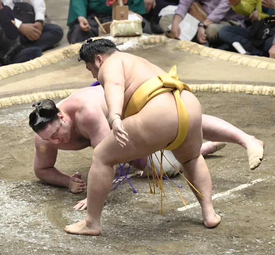 Sumo: Kakuryu, Tochinoshin suffer upset losses on Day 8