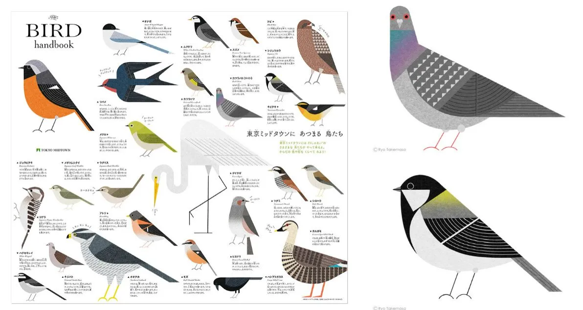 The Birds of Tokyo Beautifully Illustrated by Ryo Takemasa