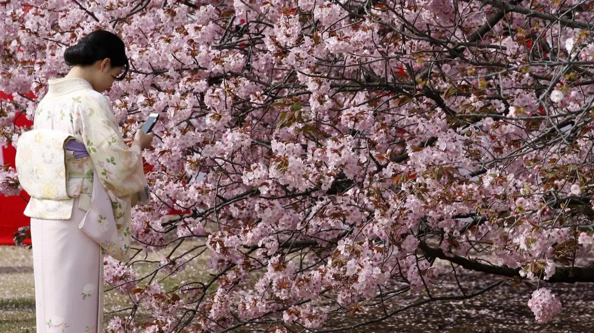 This Japanese word connecting mind, body, and spirit is also driving scientific discovery