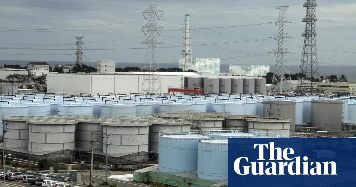 Fukushima radioactive water should be released into ocean, say Japan experts