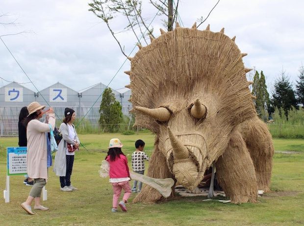 Rice straw dinosaur sculptures dazzle visitors in Sendai, northeast Japan