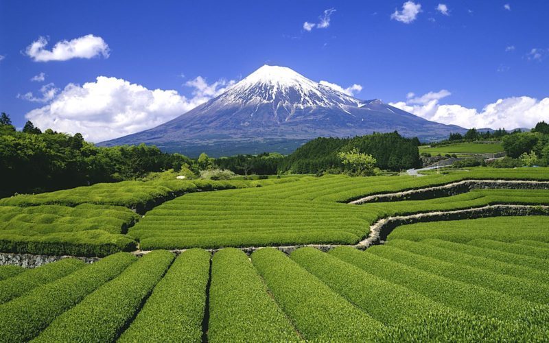 Fukuroi, Shizuoka Prefecture